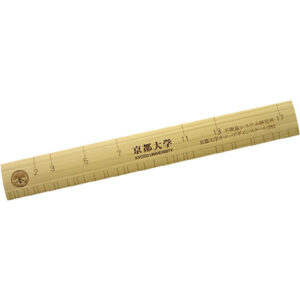 京都大学の「素数ものさし」