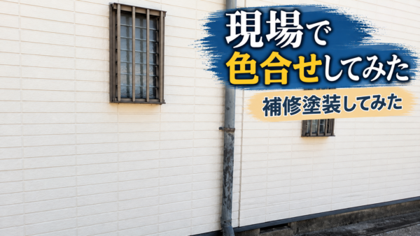 現場で色合わせをしてみた😎